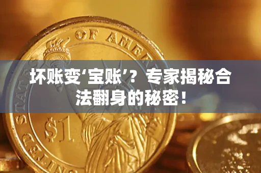 济南坏账变‘宝账’？专家揭秘合法翻身的秘密！
