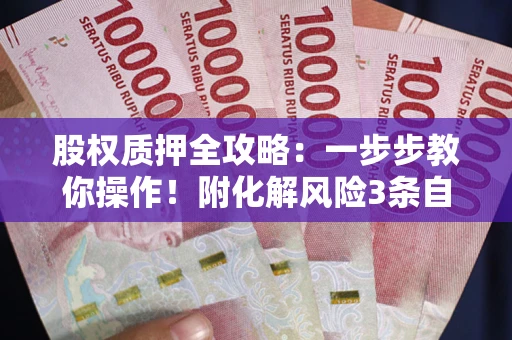 济南股权质押全攻略：一步步教你操作！附化解风险3条自救法则