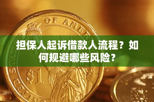济南担保人起诉借款人流程？如何规避哪些风险？