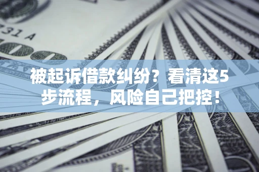 济南被起诉借款纠纷？看清这5步流程，风险自己把控！